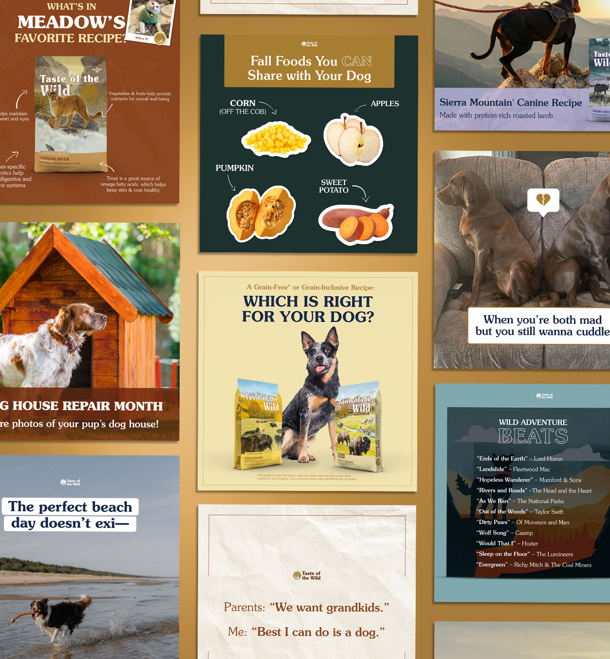 A collage of various Taste of the Wild advertisements and infographics.